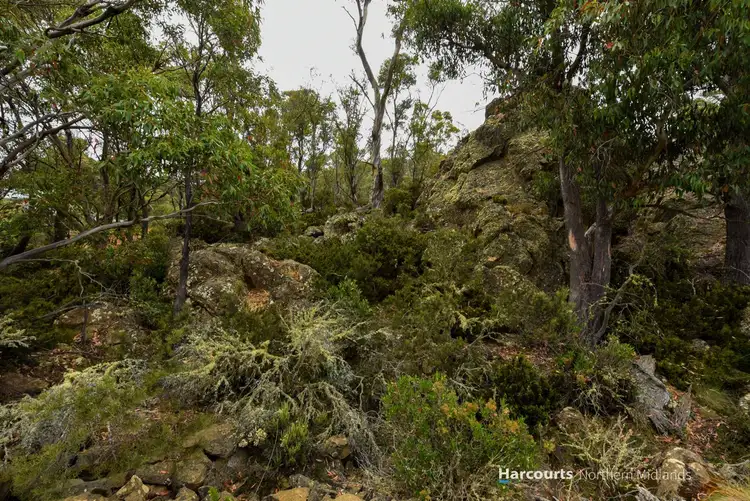 Sixth view of Homely land listing, 342 Tods Corner Road, Tods Corner TAS 7030