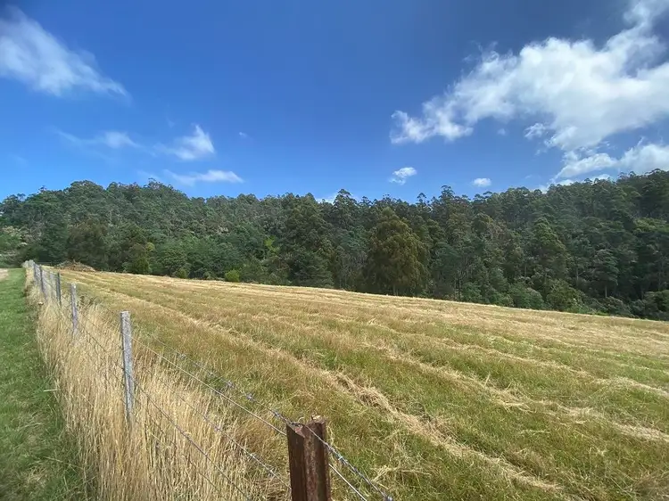 Second view of Homely land listing, 497 (Part) Lottah Road, Goulds Country TAS 7216