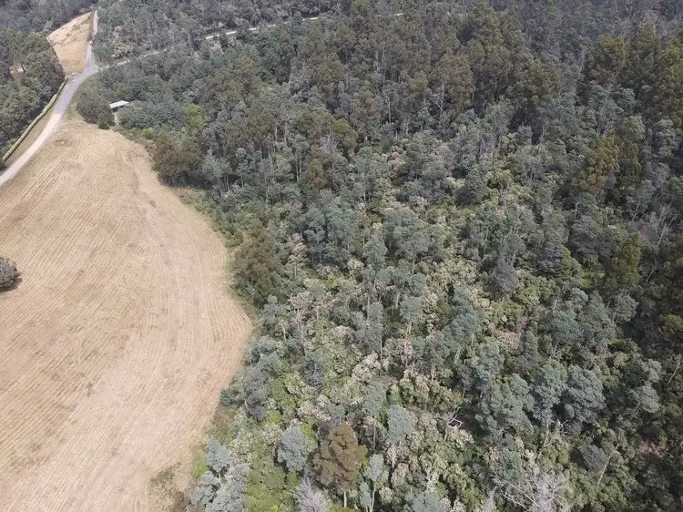 Third view of Homely land listing, 497 (Part) Lottah Road, Goulds Country TAS 7216