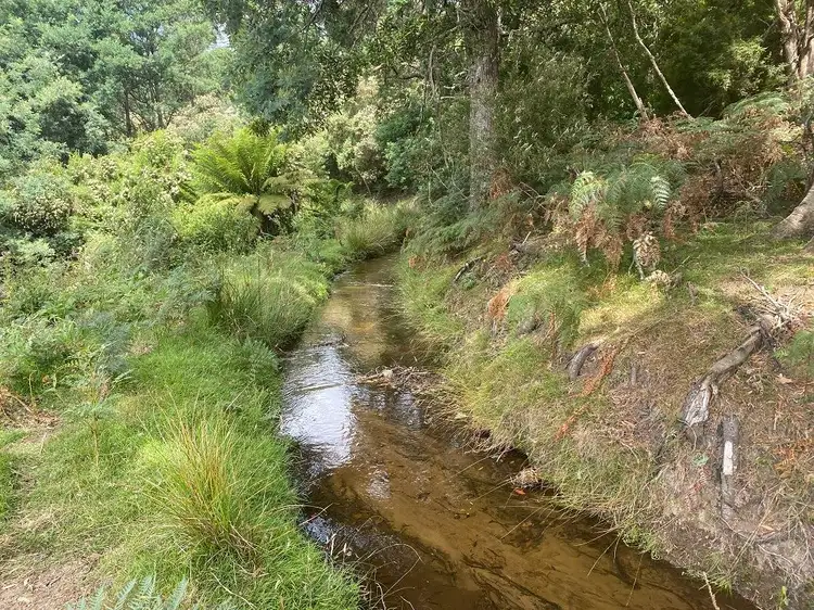 Sixth view of Homely land listing, 497 (Part) Lottah Road, Goulds Country TAS 7216