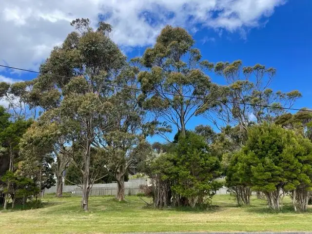 Main view of Homely land listing, 1 Kurrajong Street, Grassy TAS 7256