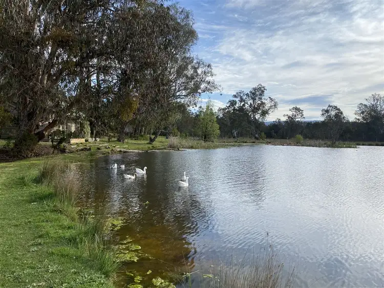 Fifth view of Homely rural property listing, 18 Connellys Creek Road, Acheron VIC 3714