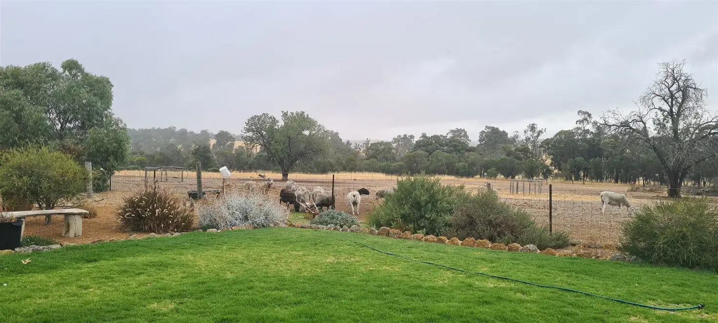 Main view of Homely house listing, 9548 Coalfields Road, Darkan WA 6392