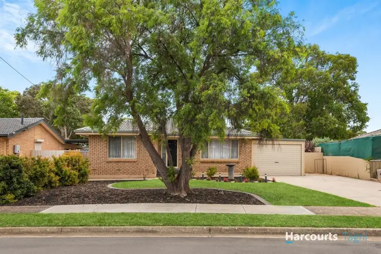 Second view of Homely house listing, 19 Jenner Street, Morphett Vale SA 5162