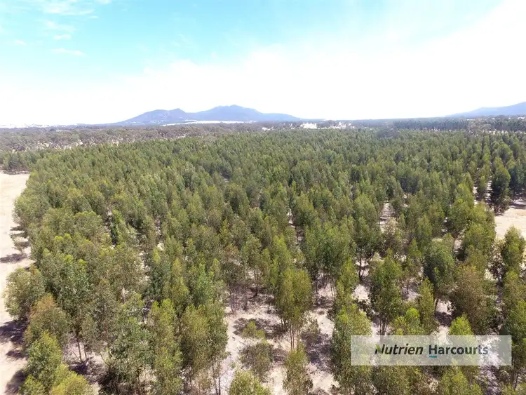 Third view of Homely rural property listing, . Coach Road, Buangor VIC 3375