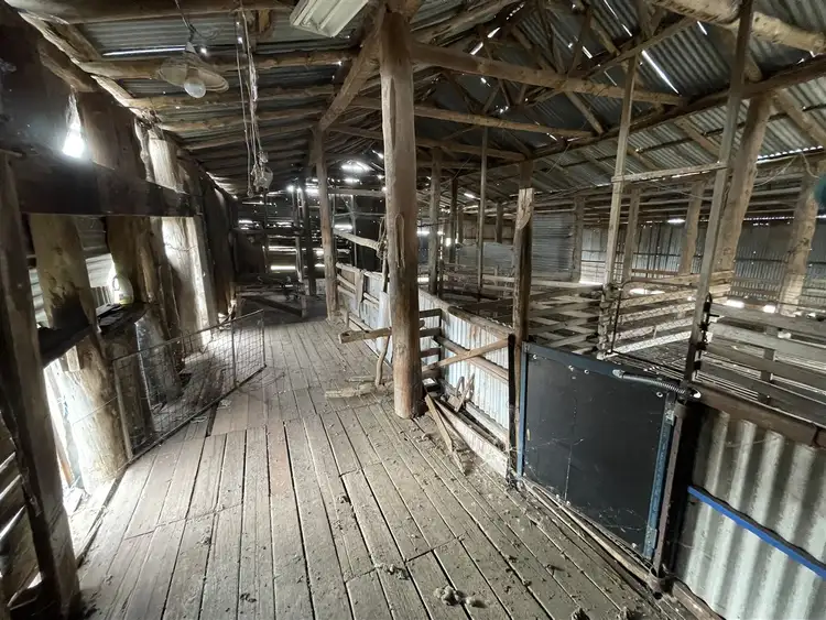 Seventh view of Homely rural property listing, . Wide Lane, Lockhart NSW 2656