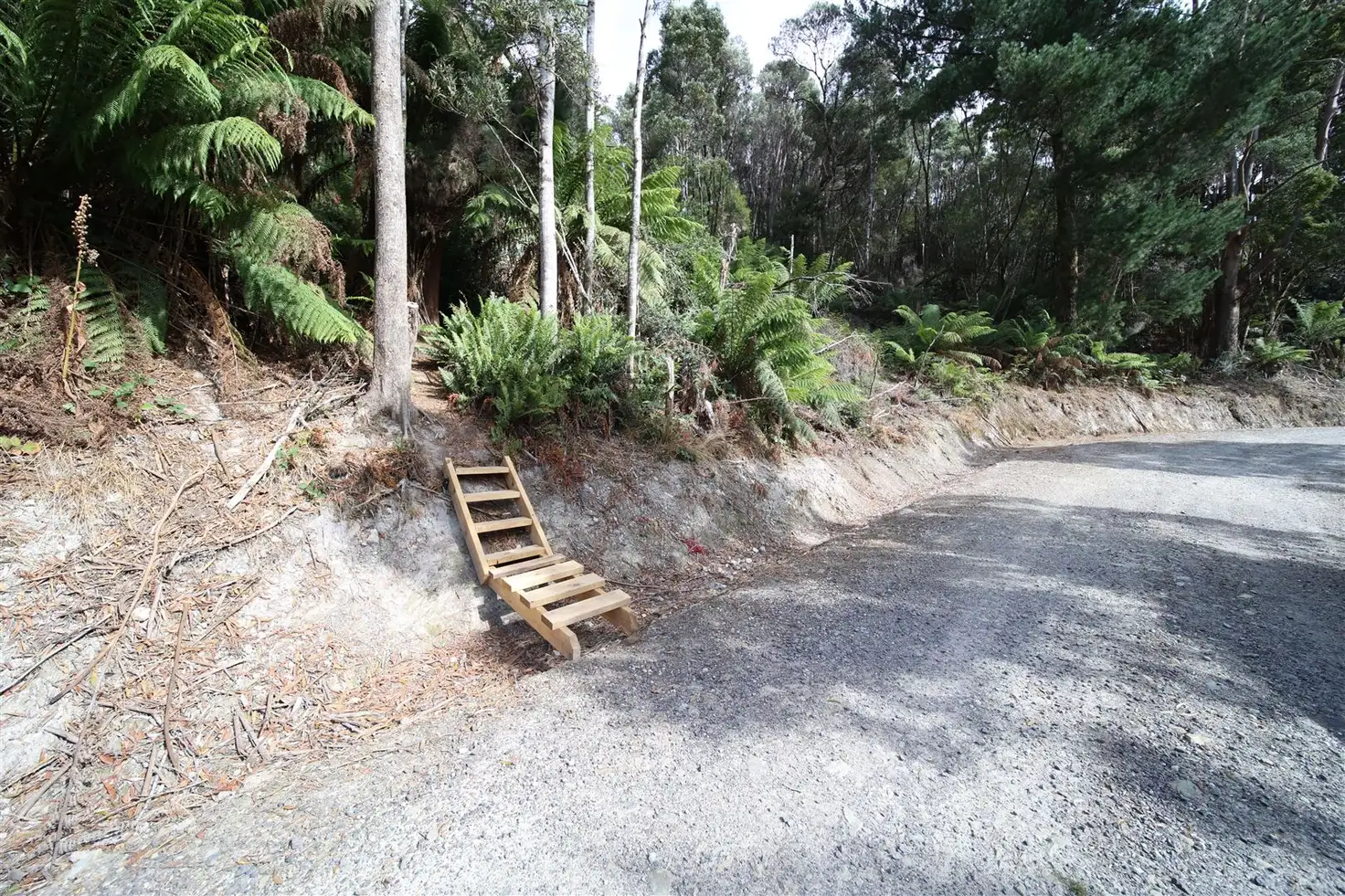 Main view of Homely land listing, 33 Solly Street, Zeehan TAS 7469