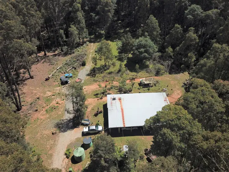 Second view of Homely rural property listing, 1593 Bendoc Orbost Road, Bendoc VIC 3888