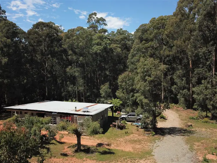 Third view of Homely rural property listing, 1593 Bendoc Orbost Road, Bendoc VIC 3888