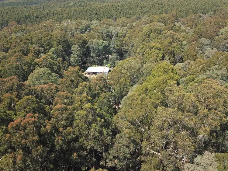 Fifth view of Homely rural property listing, 1593 Bendoc Orbost Road, Bendoc VIC 3888