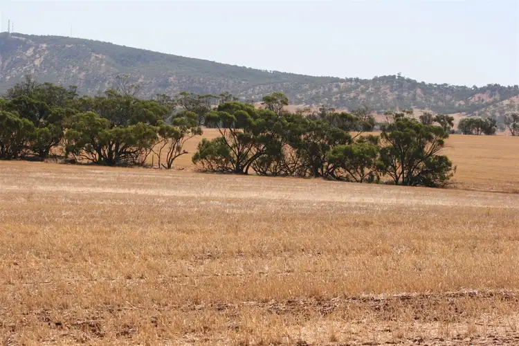 Second view of Homely rural property listing, . Goldfields Road, York WA 6302