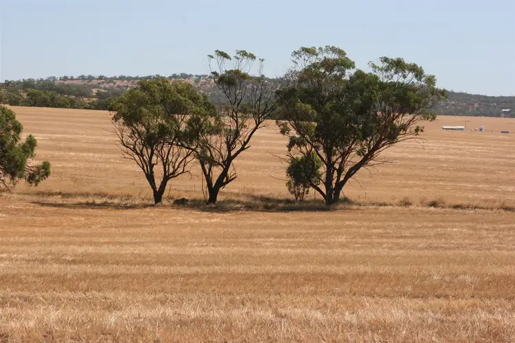 Third view of Homely rural property listing, . Goldfields Road, York WA 6302