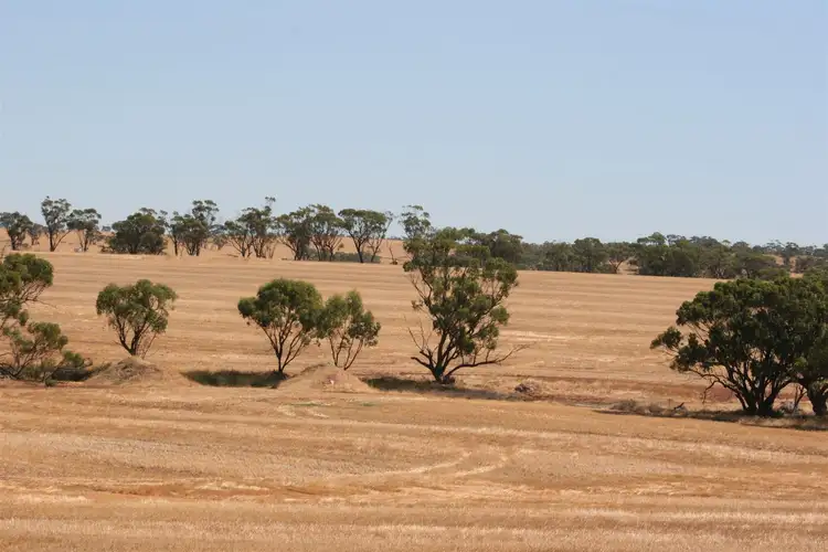 Fourth view of Homely rural property listing, . Goldfields Road, York WA 6302