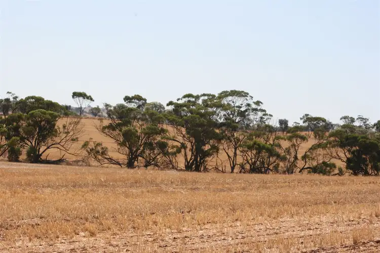 Fifth view of Homely rural property listing, . Goldfields Road, York WA 6302