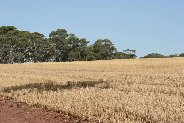 Seventh view of Homely rural property listing, . Goldfields Road, York WA 6302
