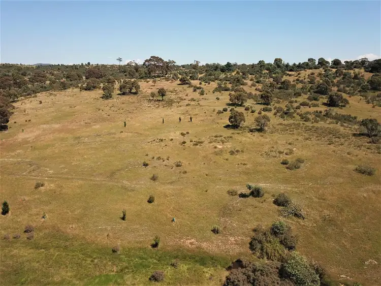 Fifth view of Homely rural property listing, 51 Quidong Road, Bombala NSW 2632
