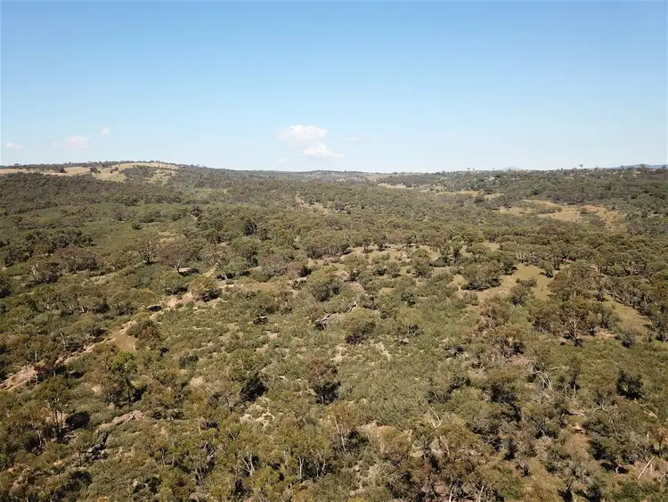 Seventh view of Homely rural property listing, 51 Quidong Road, Bombala NSW 2632
