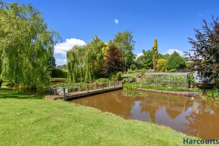 Fourth view of Homely house listing, 270 Paloona Road, Paloona TAS 7310