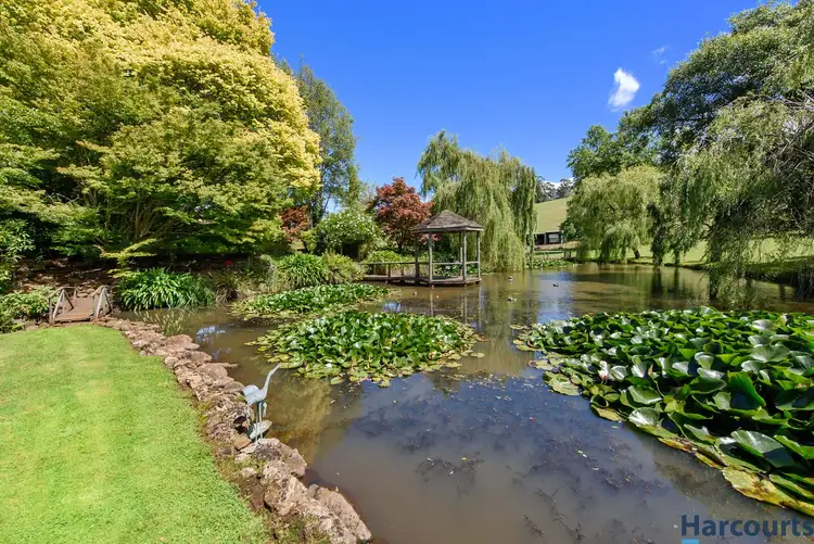 Fifth view of Homely house listing, 270 Paloona Road, Paloona TAS 7310