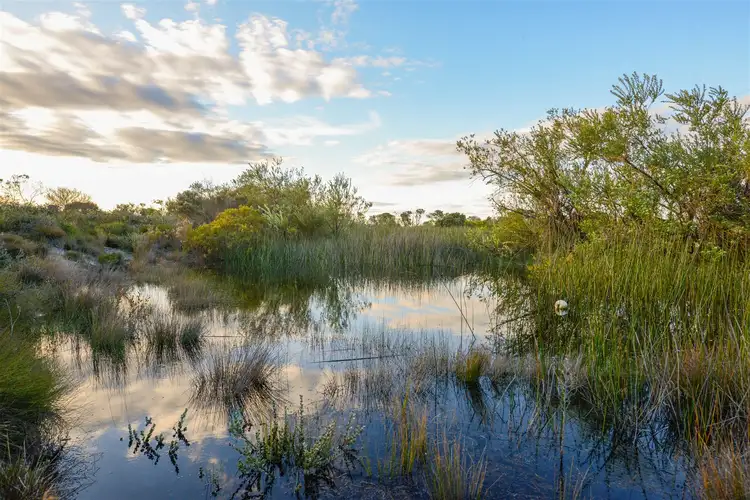 Fifth view of Homely rural property listing, Lot 164, 165, 166 Merivale Road, Esperance WA 6450