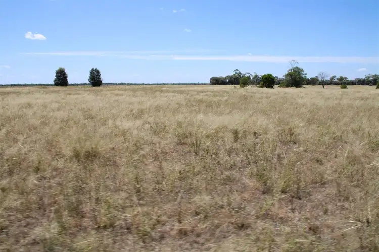 Third view of Homely rural property listing, 163 Tharlane Road, Wee Waa NSW 2388