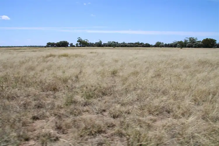 Fourth view of Homely rural property listing, 163 Tharlane Road, Wee Waa NSW 2388