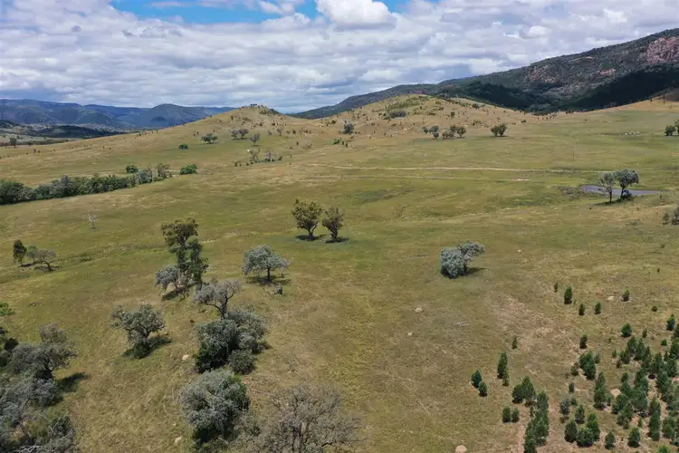 Fifth view of Homely rural property listing, 1213 Mole River Road, Tenterfield NSW 2372
