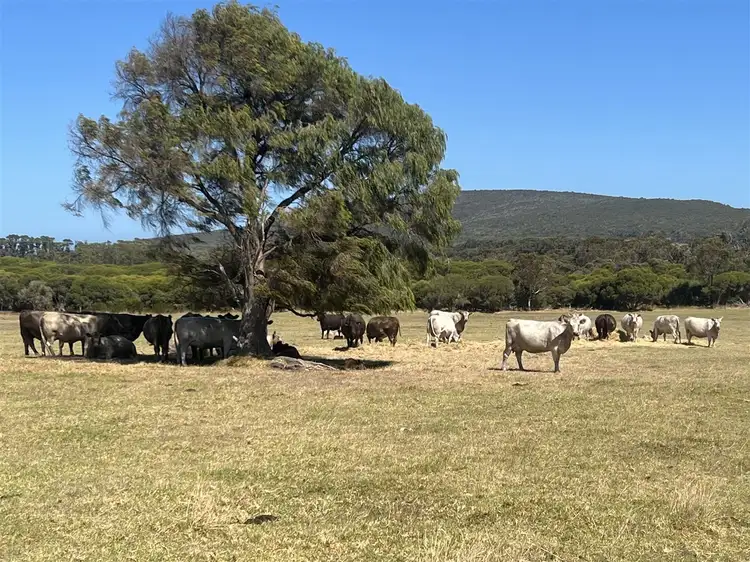 Third view of Homely rural property listing, 1102 Nanarup Road, Nanarup WA 6330