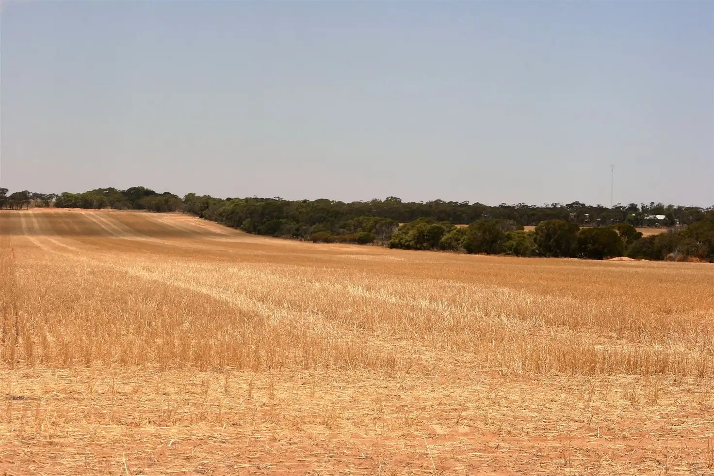 Main view of Homely rural property listing, Address available on request