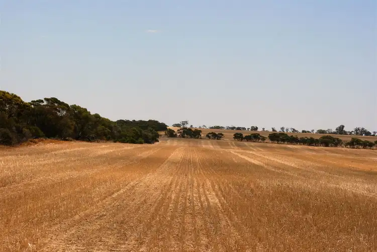 Third view of Homely rural property listing, Address available on request