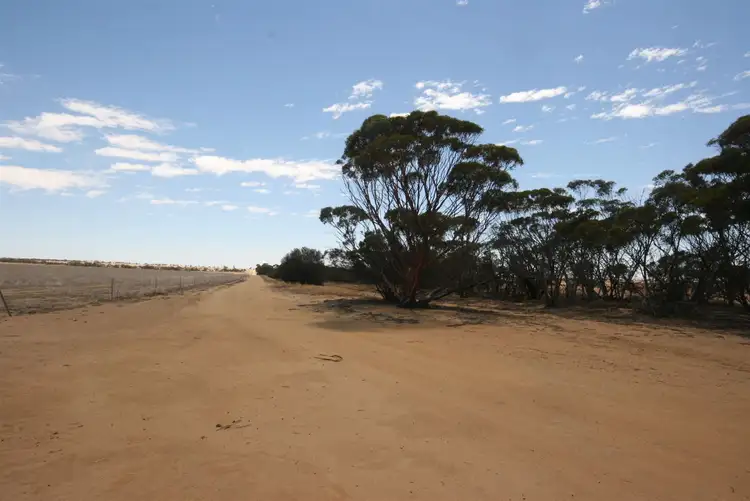 Fourth view of Homely rural property listing, Address available on request