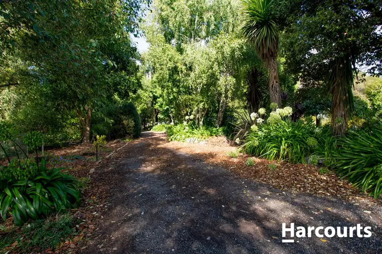 Fifth view of Homely house listing, 690 Rowella Rd, Rowella TAS 7270