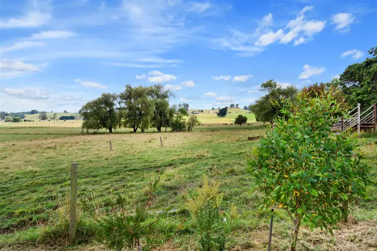 Sixth view of Homely land listing, 19 Main Street, Sheffield TAS 7306