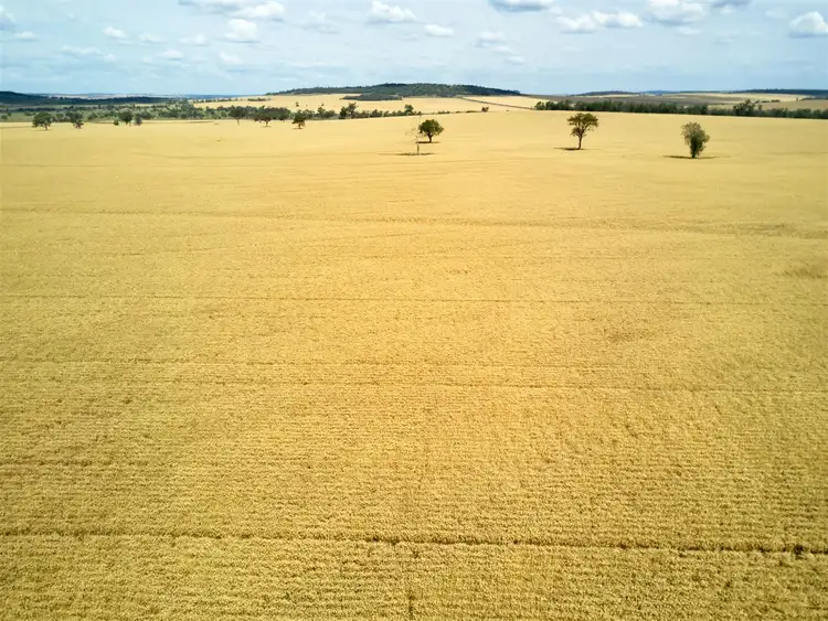 Fourth view of Homely rural property listing, . Blue Nobby Road, North Star NSW 2408