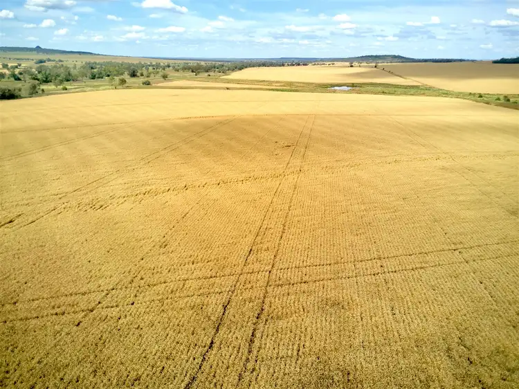 . Hibernia Road, North Star NSW 2408