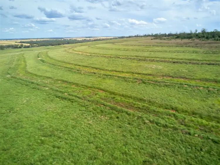 Second view of Homely rural property listing, . Hibernia Road, North Star NSW 2408