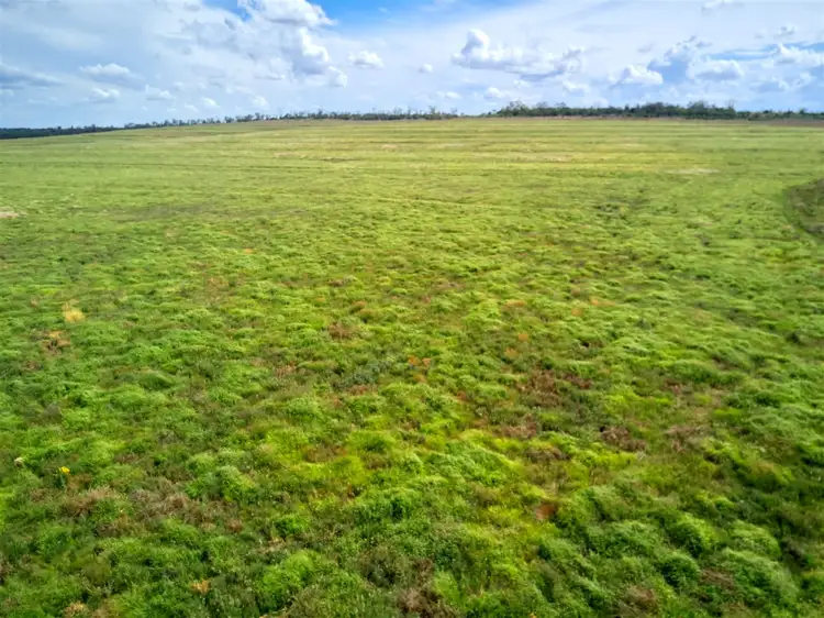 Fourth view of Homely rural property listing, . Hibernia Road, North Star NSW 2408