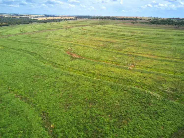 Fifth view of Homely rural property listing, . Hibernia Road, North Star NSW 2408