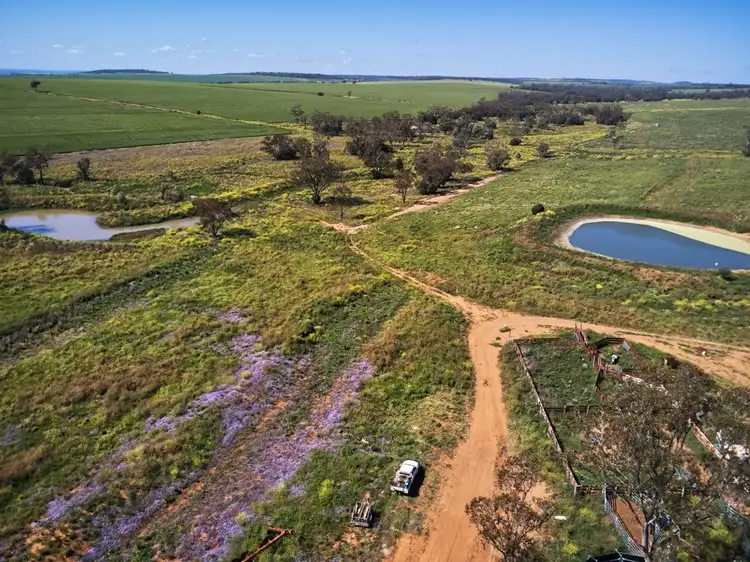 Sixth view of Homely rural property listing, . Hibernia Road, North Star NSW 2408