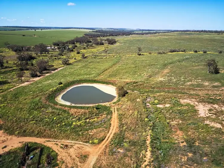 Seventh view of Homely rural property listing, . Hibernia Road, North Star NSW 2408