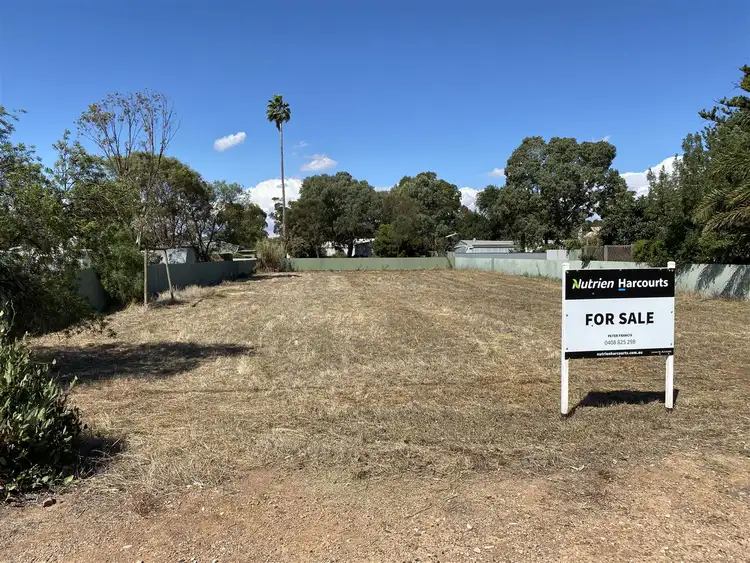 Third view of Homely land listing, 38 West Terrace, Laura SA 5480