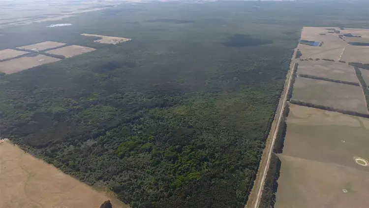 Second view of Homely rural property listing, 0 Dickers Road, Reekara TAS 7256