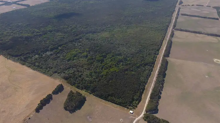 Fourth view of Homely rural property listing, 0 Dickers Road, Reekara TAS 7256