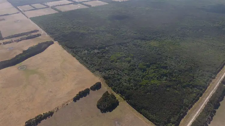 Fifth view of Homely rural property listing, 0 Dickers Road, Reekara TAS 7256