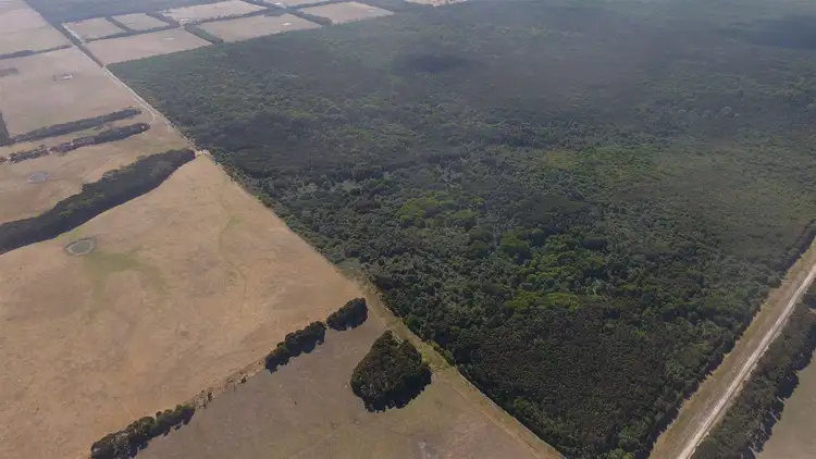 Fifth view of Homely rural property listing, 0 Dickers Road, Reekara TAS 7256