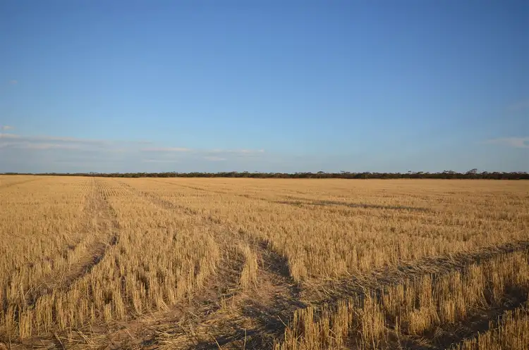 Second view of Homely rural property listing, 7716 Mallee Highway, Parrakie SA 5301