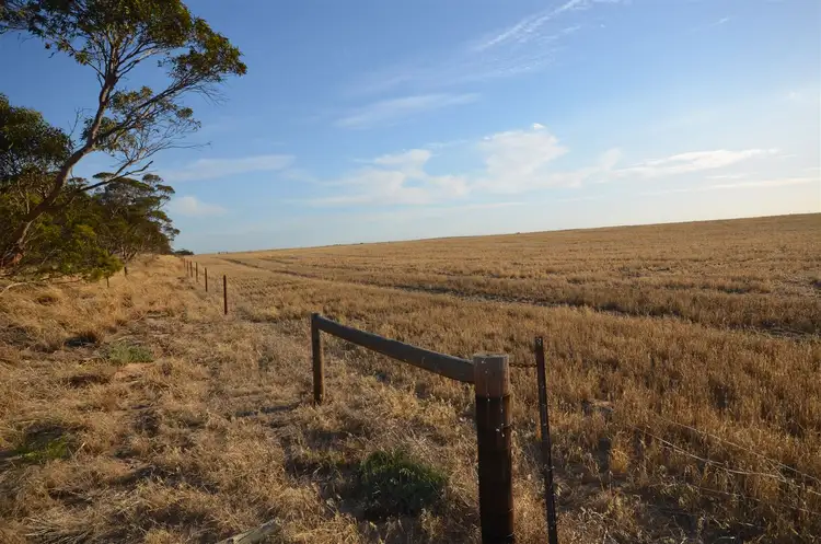 Third view of Homely rural property listing, 7716 Mallee Highway, Parrakie SA 5301
