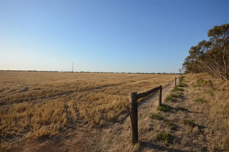Fourth view of Homely rural property listing, 7716 Mallee Highway, Parrakie SA 5301