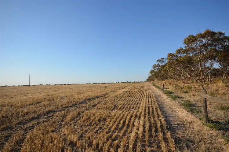 Fifth view of Homely rural property listing, 7716 Mallee Highway, Parrakie SA 5301