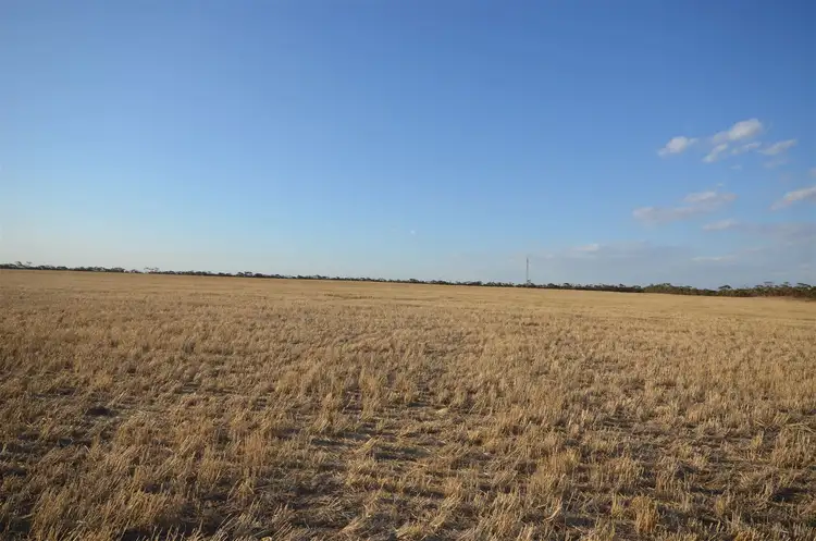 Sixth view of Homely rural property listing, 7716 Mallee Highway, Parrakie SA 5301